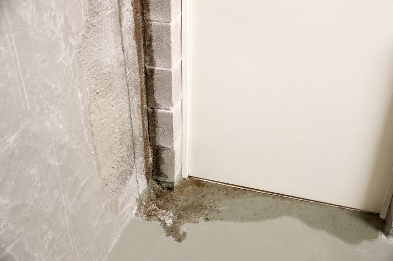 Foundation Moisture Prevention in Sarasota, FL
